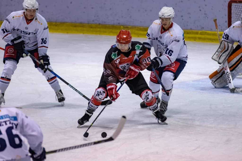 Jentzsch Eisbären