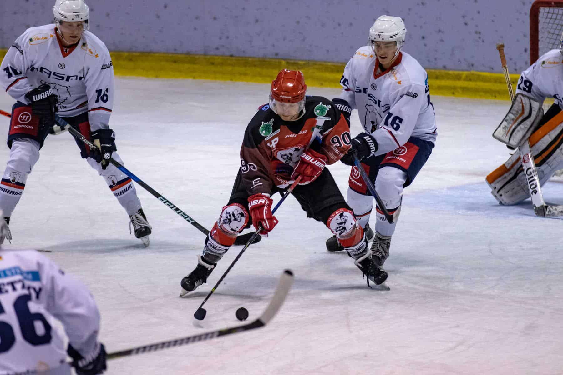 Jentzsch Eisbären