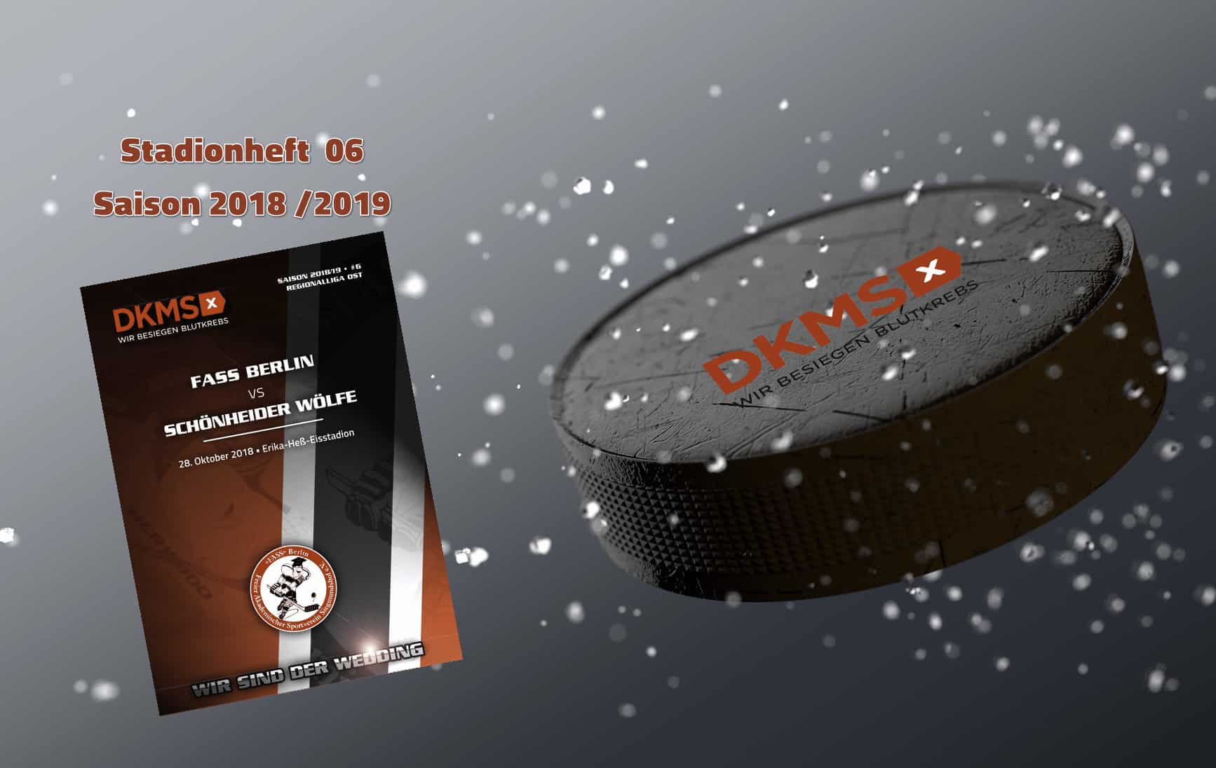 2018-10-28 Stadionheft DKMS