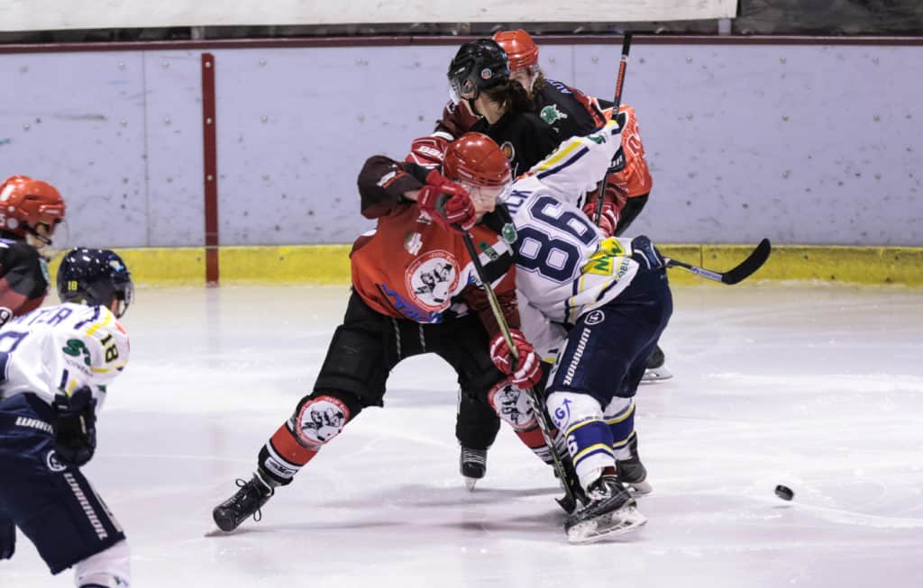 2019-02-03 FASS Tornado Regionalliga